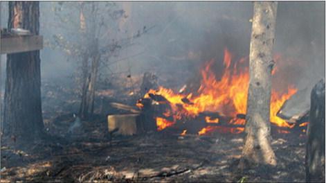 This was one of several spot fires which burned on Gandy Road near Kountze on Thursday of last week which began when a man started burning a pile of trash. There is an outdoor burn ban now in effect in Hardin County. Dan Eakin Photo
