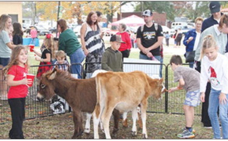 Children and people of all ages enjoyed petting and even feeding animals in the petting zoo that was set up Saturday at the Christmas in the Big Thicket Festival in downtown Silsbee. Amy Gonzales photo